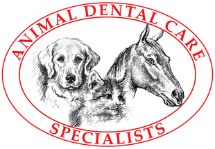 Animal Dental Care Specialists
